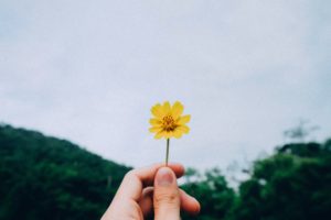 why we do what we do, linh dang hypnocoach, rtt practitioner, hypnotherapist, happiness and self love, yellow flower, hand holding flower, daisy